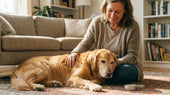Paw & Snout Repair Balm