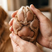 Paw & Snout Repair Balm